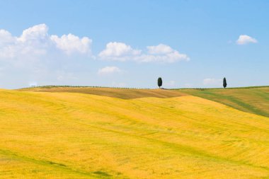 Tuscany hills manzara, İtalya. Kırsal İtalyan panorama.