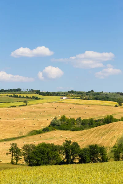 Krajobraz Wzgórz Tuscany Włochy Obszarów Wiejskich Włoski Panorama — Zdjęcie stockowe