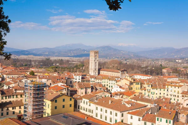 Lucca Guinigi Tower Italian Landmark Aerial View Lucca — Stock Photo, Image