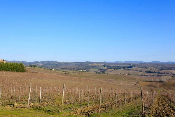 Fileiras Vinhas Colinas Toscana Agricultura Italiana Bela Paisagem — Fotografia de Stock
