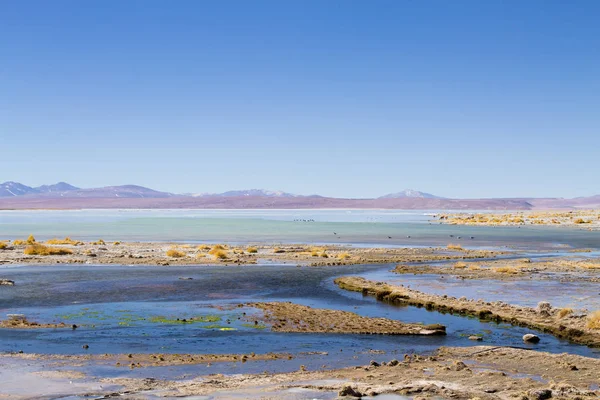 Βολιβιανό Τοπίο Λιμνοθάλασσας Aguas Termales Polques Βολιβία — Φωτογραφία Αρχείου
