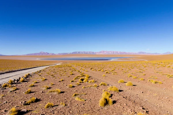 Bolivian Lagoon View Bolivia Kollpa Kkota Lagoon View Collpa Laguna — Stock Photo, Image