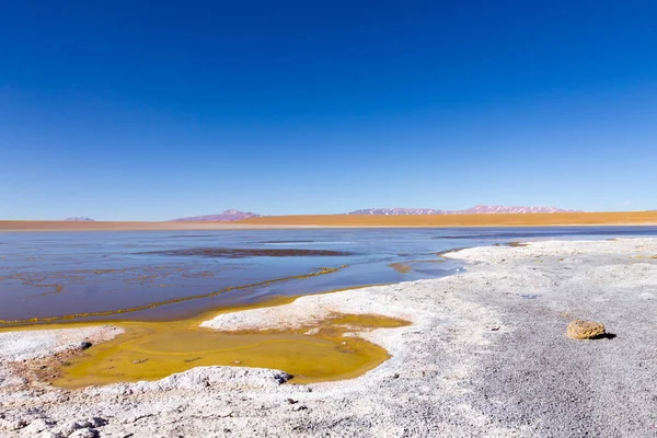 Bolivya lagün manzarası, Bolivya. Kollpa Kkota göl manzarası. Collpa Laguna
