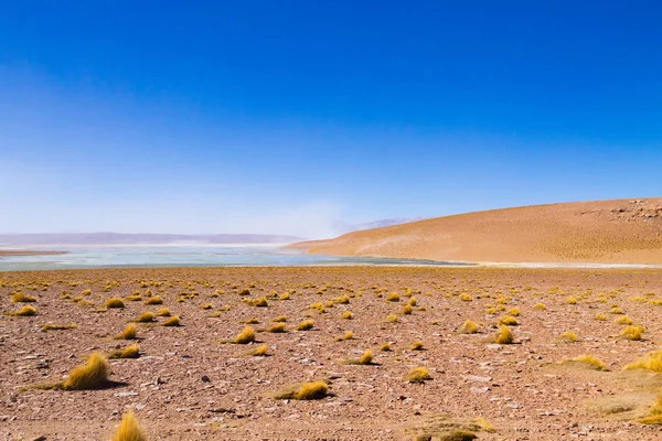 Paysage Montagneux Bolivien Bolivie Vue Sur Plateau Andin — Photo