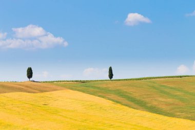 Tuscany hills manzara, İtalya. Kırsal İtalyan panorama.