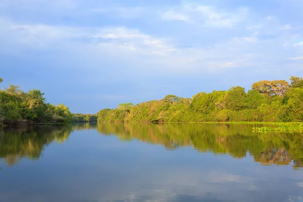 Panorama Pantanal Región Humedales Brasileños Laguna Navegable América Del Sur — Foto de Stock