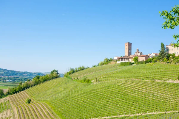 Barbaresco Widok Miasta Winnice Regionu Langhe Włochy Rolnictwa Światowego Dziedzictwa — Zdjęcie stockowe
