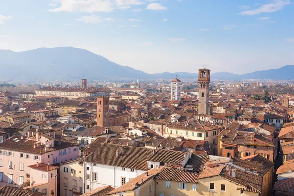 Lucca Guinigi Tower Italian Landmark Aerial View Lucca — Stock Photo, Image