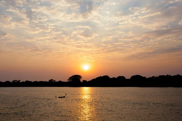 Pôr Sol Pantanal Região Das Zonas Húmidas Brasileiras Panorama Brasil — Fotografia de Stock