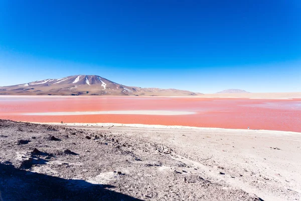 Laguna Colorada Landscape Bolivia Beautiful Bolivian Panorama Red Water Lagoon — Stock Photo, Image
