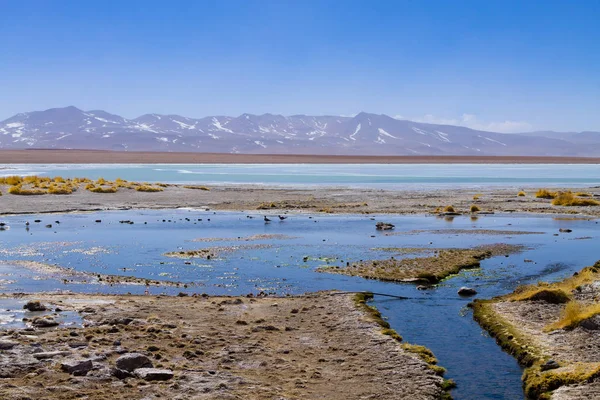 Bolivian Lagoon Landscape Bolivia Andean Plateau View — Stock Photo, Image