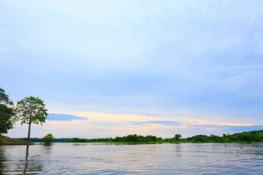 Amazon yağmur ormanlarından Panorama, Brezilya 'nın sulak arazisi. Yönlendirilebilir göl. Güney Amerika dönüm noktası. Amazonia