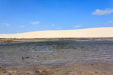 Lencois Maranhenses Ulusal Parkı, Brezilya 'dan beyaz kum tepeleri manzarası. Yağmur suyu gölü. Brezilya manzarası