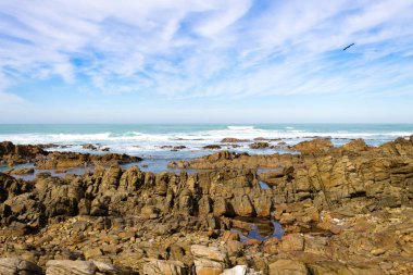 Cape Agulhas görünümü, Güney Africa.the Güney Afrika kıtasının en uç plaj.