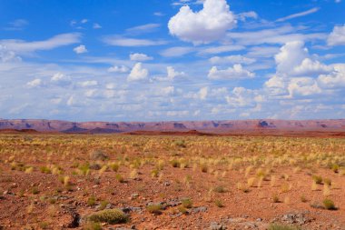 Arizona çöl panorama. Sarı bush ve mavi gökyüzü ile kırmızı arka plan dağlarda. ABD manzara