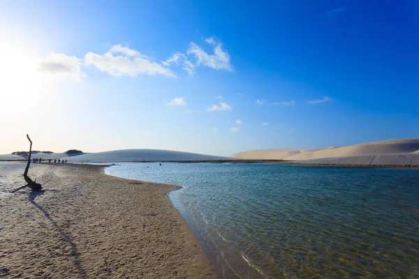 Panorama Des Dunes Sable Blanc Parc National Lencois Maranhenses Brésil — Photo