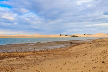 Addo Elephant Milli Park deniz alan manzara. Kıyı şeridi, kum tepeleri. Afrika panorama, Güney Afrika