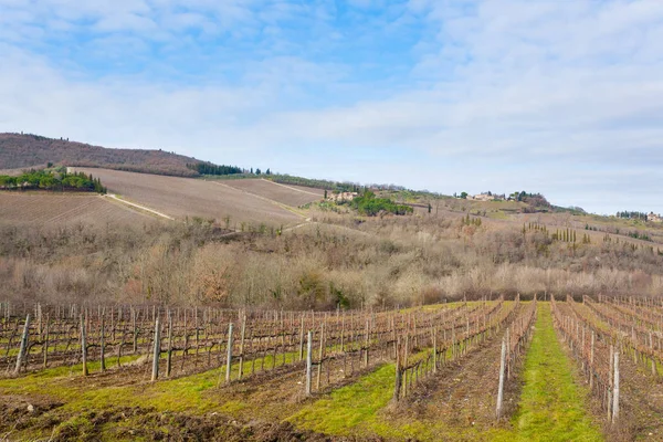Fileiras Vinhas Colinas Toscana Agricultura Italiana Bela Paisagem — Fotografia de Stock