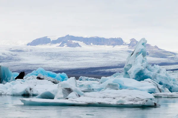 아이슬란드 빙하호입니다 떠다니고 있습니다 아이슬란드의 — 스톡 사진
