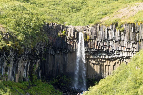 Svartifoss Cade Vista Della Stagione Estiva Islanda Paesaggio Islandese — Foto Stock