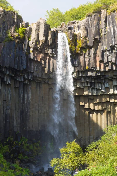 Svartifoss Cade Vista Della Stagione Estiva Islanda Paesaggio Islandese — Foto Stock