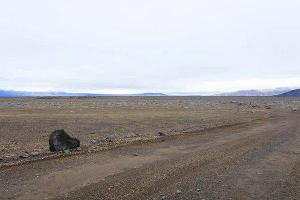 Islandia Paisaje Largo Carretera Askja Panorama Islandés Desolado —  Fotos de Stock