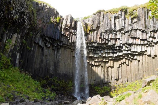 Svartifoss Fällt Der Sommersaison Ansicht Island Isländische Landschaft — Stockfoto