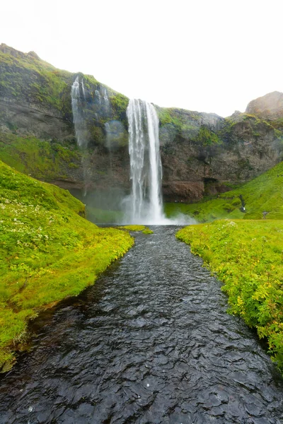 Seljalandsfossは夏のシーズンビュー アイスランドに落ちます アイスランドの風景 — ストック写真