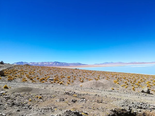 Paisagem Lagoa Boliviana Águas Termales Polques Bolívia — Fotografia de Stock