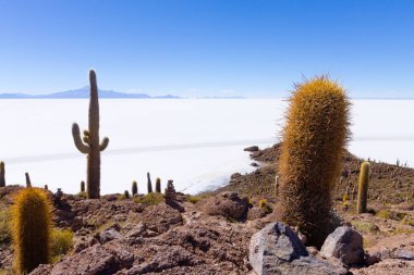Bolivya 'nın İncahuasi adasından Salar de Uyuni manzarası. Dünyadaki en büyük tuz düzlüğü. Bolivya manzarası