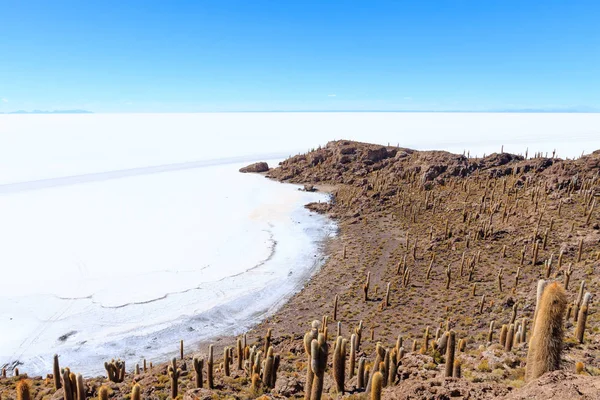 라르데 우유니는 볼리비아의 섬에서 바라본다 세계에서 폼입니다 볼리비아의 — 스톡 사진