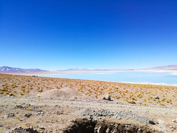 Bolivian Lagoon Landscape Aguas Termales Polques Bolivia — Stock Photo, Image