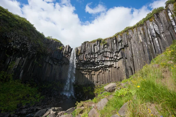 Svartifoss Cae Vista Temporada Verano Islandia Paisaje Islandés —  Fotos de Stock