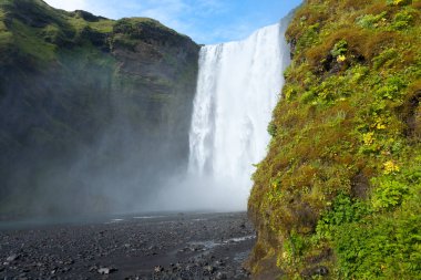 Skogafoss yaz sezonunda İzlanda 'ya düşer. İzlanda manzarası.