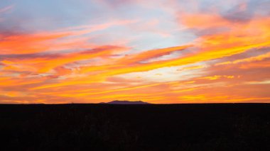 Günbatımı Addo Elephant National Park, Güney Afrika. Dramatik gökyüzü. Açık alan manzara