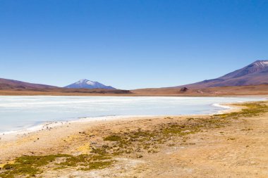 Laguna Hedionda manzarası, Bolivya. Güzel bir Bolivya panoraması. Mavi su gölü