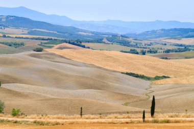 Arka plan eğrileri. Tuscany hills yaz manzara. Doğa arka plan