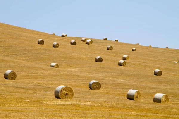 Talyan Kırsal Panorama Yuvarlak Balya Buğday Alanında Tarım Kırsal Yaşam — Stok fotoğraf