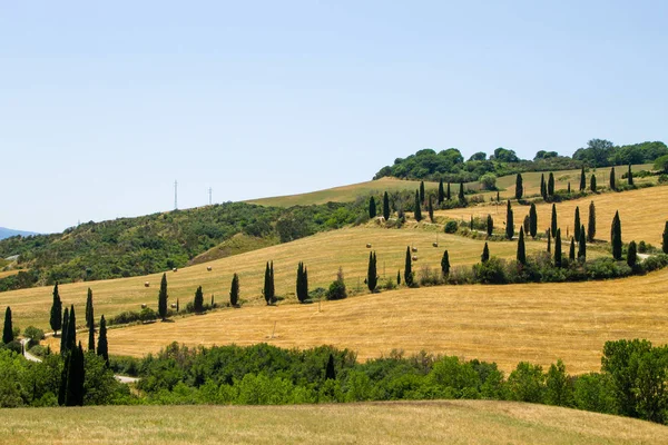 Προβολή Λόφους Τοσκάνη Ιταλία Ιταλικό Τοπίο Toscana — Φωτογραφία Αρχείου