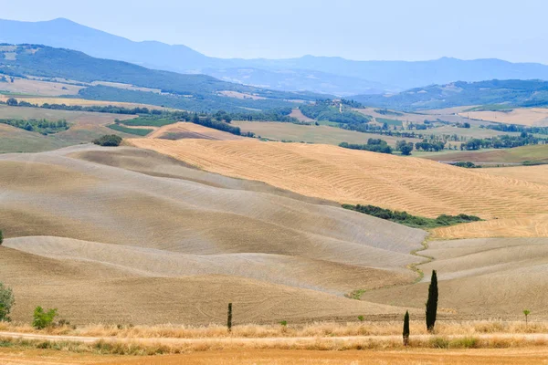 Curves Background Tuscany Hills Summer Landscape Nature Background Royalty Free Stock Photos