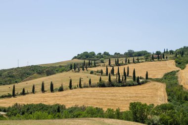 Tuscany hills panorama yaz görünümü, İtalyan peyzaj