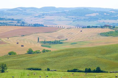 Tuscany hills panorama yaz görünümü, İtalyan peyzaj