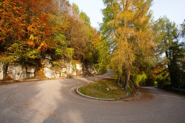 Шпилька изгиб с осенним пейзажем, асфальтовая дорога — стоковое фото