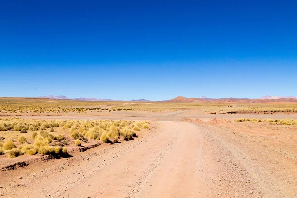 Vista del camino de tierra boliviano, Bolivia — Foto de Stock