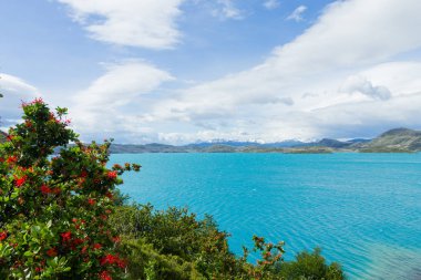 Lake Pehoe View, Torres del Paine, Şili