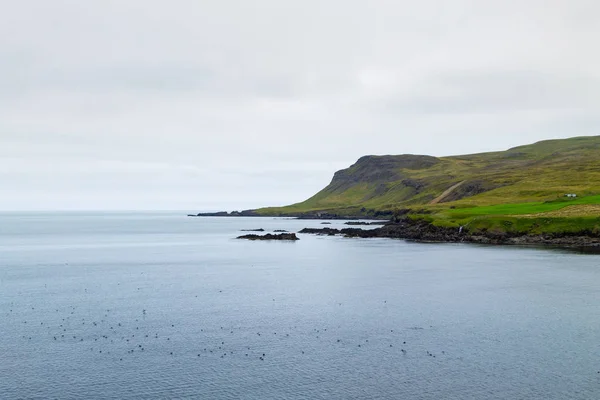 Vue sur le fjord de Borgarfjordur, est de l'Islande. Vue islandaise — Photo