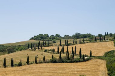 Tuscany hills panorama yaz görünümü, İtalyan peyzaj