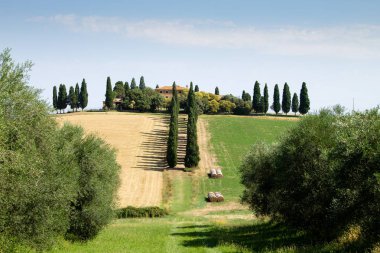 Tuscany hills manzara, İtalya yaz
