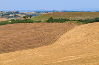 Tuscany hills panorama yaz görünümü, İtalyan peyzaj