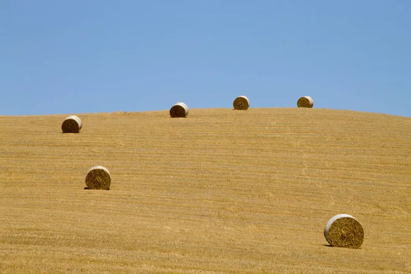 Italian countryside panorama. Round bales on wheat field — Stock Photo, Image